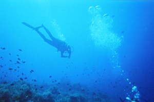 I learned to scuba dive the summer of my first year as an international teacher. It has been a part of every summer since.